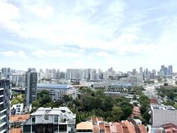 Kopar At Newton (D9), Apartment #545824371